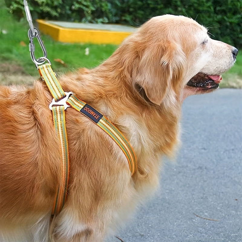 stainless leash features reflective rust proof