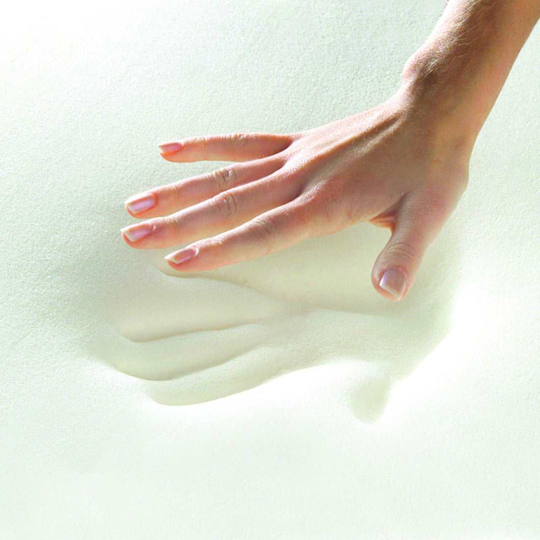 Otero Plush Memory Foam Mattress