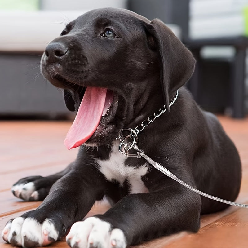 stainless leash features reflective rust proof