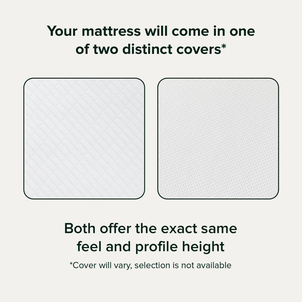 14" Medium Memory Foam Mattress - Sleep by Wayfair™