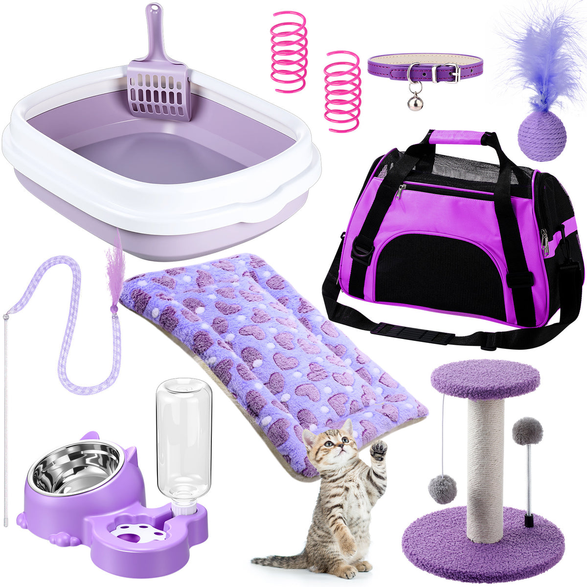 1 set kitten starter kit 10pcs cat starter kit indoor cats