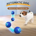 interactive bouncing dog toy ball gravity activated active