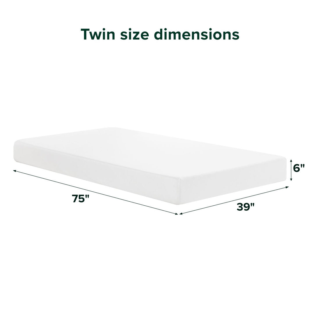 6" Medium Memory Foam Mattress - Sleep by Wayfair™