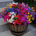 108 flowers 36 valentines   artificial eucalyptus