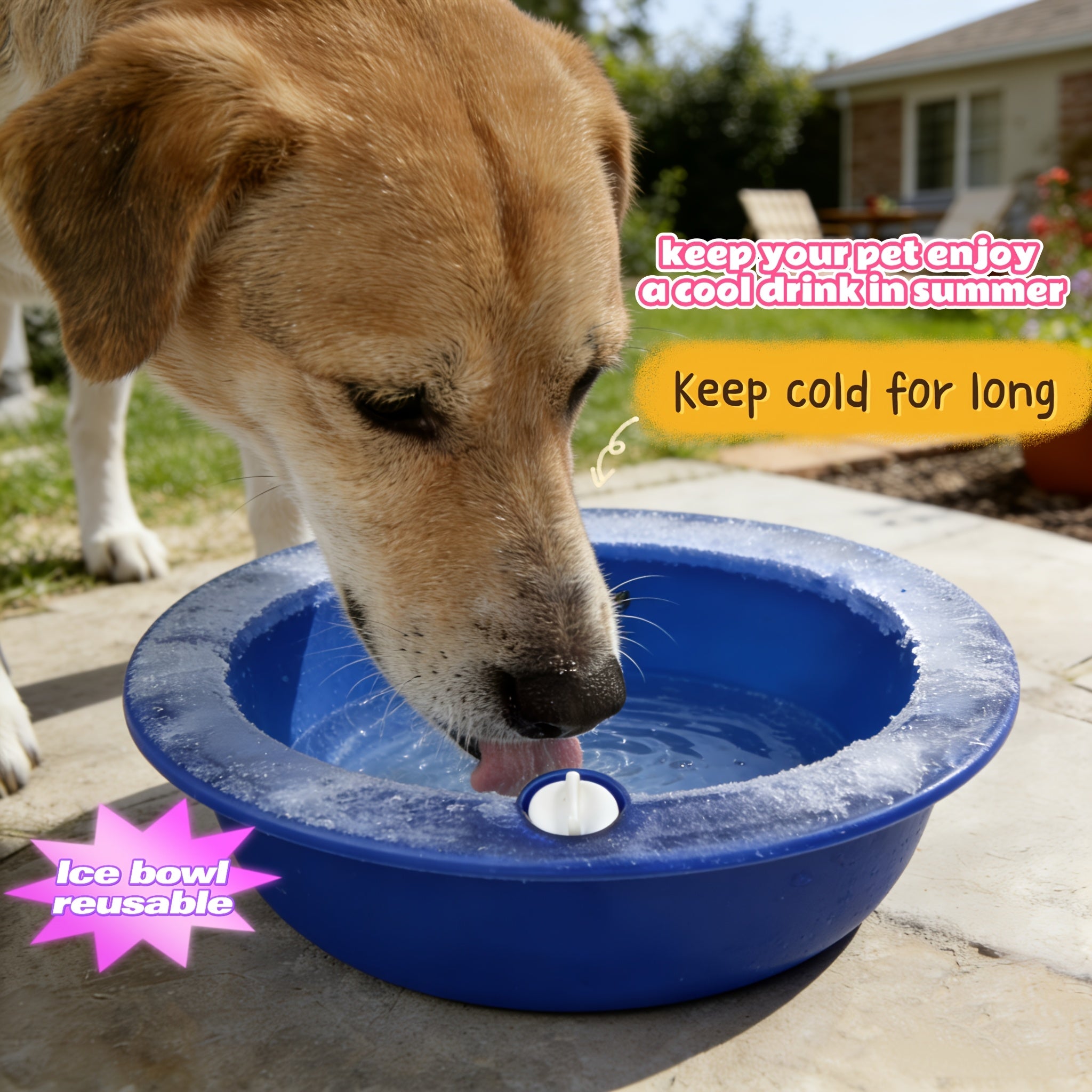 1pc   bowl cooling water feeder reusable ice filled