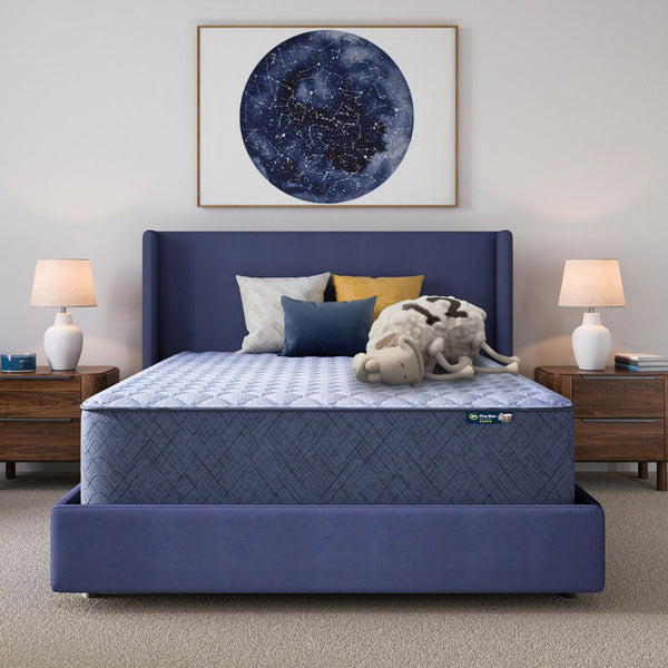 Five Star Mattress Sleep to Go 14" Firm Mattress in a Box