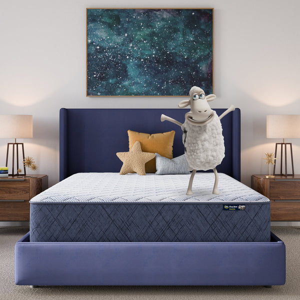 Serta Five Star Mattress Sleep to Go Firm Mattress in a Box