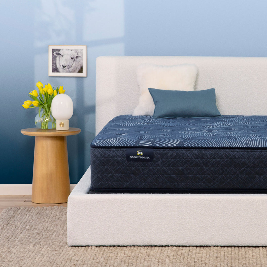 Serta Perfect Sleeper Oasis Sleep 13.25" Plush Mattress