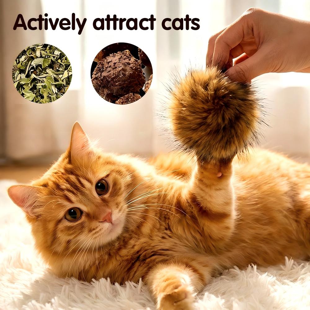 4pcs   rabbit cat toys indoor interactive cat